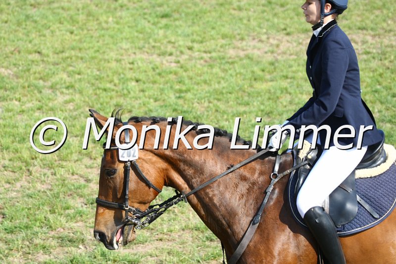 105M1782_Letizia II_Stil_A.JPG